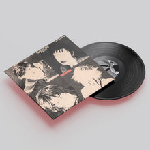 Load image into Gallery viewer, Leftovers - Es Kann Sein Dass Alles Endet - VINYL
